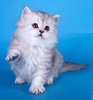 Thumb_67df7985-182d-4c31-95e5-e26fcb288923