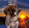 Thumb_0cf1d961-2fe7-4343-92ed-8082b5f9dee7