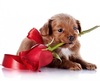 Thumb_9dc1fe99-2c9e-4074-9a81-ec910475c307