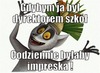 Thumb_5c8b7204-17b0-4601-b1f0-fc3d40a34348