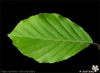 Thumb_fbd8150d-2aad-48c7-ae1a-8cf9b50054f5