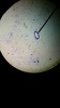 Thumb_d59ab9ce-b56a-403c-98e1-d4dccaef0a4c