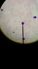 Thumb_d7f27f1f-286f-4145-8e27-1975b84d7963
