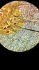 Thumb_b9f8da30-1baa-4880-b699-d4780e75fe99