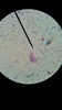 Thumb_e2323955-ecdf-4470-a80c-192e001164ae