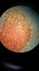 Thumb_122b7a0f-30b5-4292-a51c-d72aadca8a7e