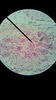 Thumb_edfe4b7f-477f-4b62-8490-ca3ca739bed2
