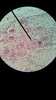 Thumb_1cf0ca72-2f1b-4935-8eaa-9ce981bc6cbd
