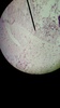 Thumb_1e4b23e2-6a72-4f06-8d73-9a440a65f102
