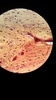 Thumb_7f1bf277-1219-430d-8716-bb8301bbd79f