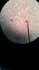 Thumb_c35e1015-f289-4d0d-8111-cb752b91e9ae