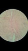 Thumb_f448079c-d10e-41d3-9286-b5739b809823