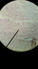 Thumb_38292e14-f42a-4e69-9ab5-56b1ed549d0d