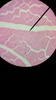 Thumb_80ae5368-f0fb-4dd2-8165-47137b992742