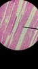 Thumb_32a92643-42b5-4a64-9954-d041b3debeb9