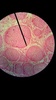 Thumb_4d8d9a54-2fa5-4283-b08d-8175247bf7df