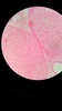 Thumb_95436411-7dbe-4183-bd4c-022133ebc115