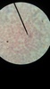 Thumb_42984e85-7be3-4c07-aa74-7a916d66d379