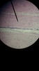 Thumb_3f542726-9688-4977-a08d-556f18098e9d