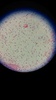 Thumb_e853d295-d59d-47eb-a4cc-6e332b583037