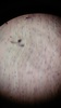 Thumb_decafa1c-b896-4cbc-b093-b880557c081d