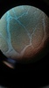 Thumb_533a1736-a0d2-4c46-8fea-ddb3e4d189da