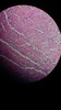 Thumb_3074ec28-60a2-445d-b1af-fc3044878ec6