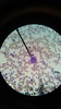 Thumb_490c2e52-7ec8-4645-a666-920ebe3aad88