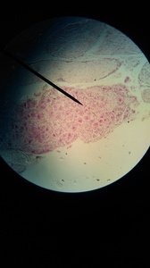 6ec2a42c-5d85-4aa8-b340-3da21306e6cf
