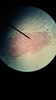 Thumb_6ec2a42c-5d85-4aa8-b340-3da21306e6cf