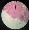 Thumb_eff0099a-e538-4fda-992f-23f5af77e713