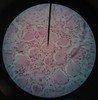 Thumb_de7b29d6-c550-44d5-b22b-351d34408338