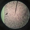 Thumb_5d7ac1c5-8d6d-47bc-9262-9a4a03c75ba4