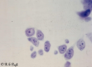 Dd9aeb79-da66-4457-a3ab-90b4bc9e6aef