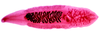 Thumb_b562d9d1-0c9a-4375-b892-1f75eb79af54