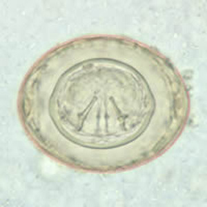 3809adbd-338e-434d-8068-fa34c1d5762e