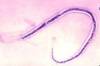 Thumb_f9c09070-9ce8-4c15-afe9-b68933b16efb