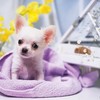 Thumb_3c188c81-9bbb-43f7-b59d-3a63858bc33f
